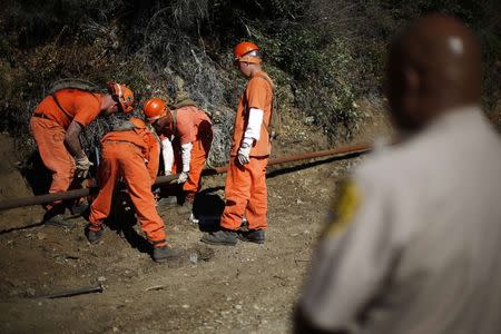 Prison inmates lay water pipe on a work project outside Oak Glen Conservation Fire Camp #35 in Yucaipa, California November 6, 2014. REUTERS/Lucy Nicholson