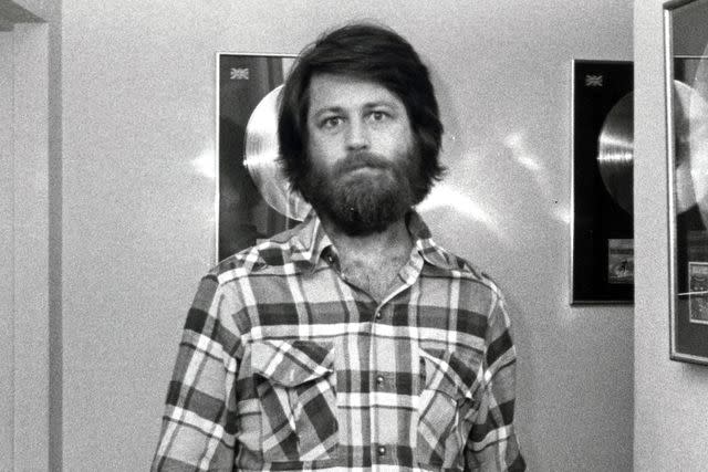 <p>Ron Galella/Ron Galella Collection via Getty</p> Brian Wilson