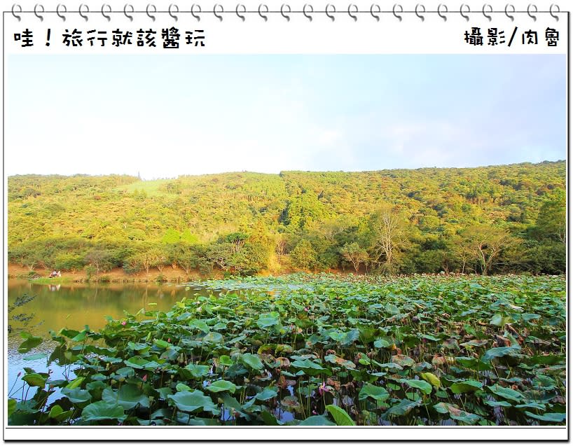 【肉魯玩台灣‧苗栗】台灣好行向天湖線旅行趣 群山繚繞夢幻向天湖 日式風情瓦祿產業文化館