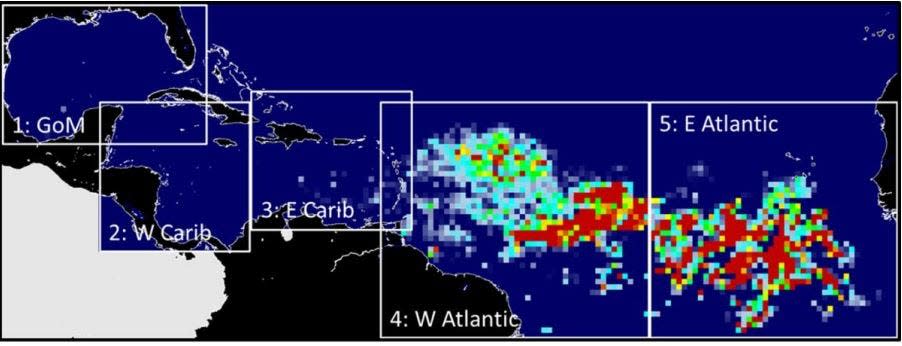 The sargassum outlook report issued March 1, 2024 by the University of South Florida shows seaweed approaching the eastern Caribbean Sea.