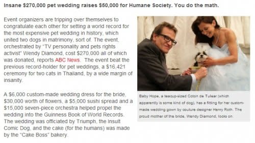 July: People who can't do math are excited about a charity pet wedding that cost $270K, raised $50K.