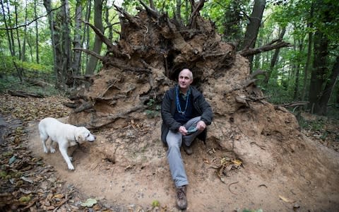 Clive Steward by a tree uprooted during the Great Storm at Ashenbank Wood in Kent - Credit: Heathcliff O'Malley