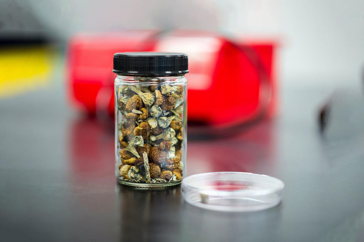 A Jar Of Dried Psilocybe Mushrooms Getty Images/James MacDonald/Bloomberg