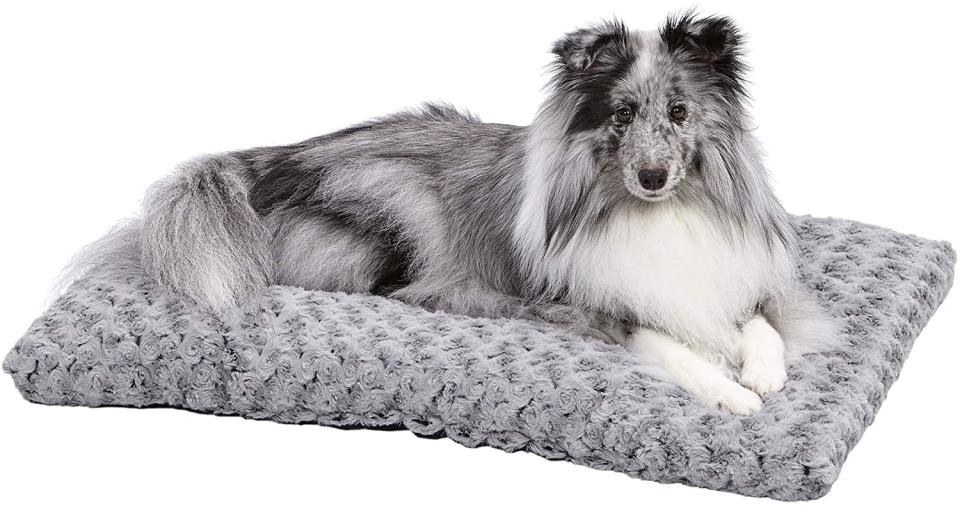 MidWest Homes for Pets - Plush Dog Bed