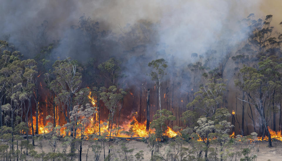 This Monday, Dec. 30, 2019 photo provided by State Government of Victoria shows wildfires in East Gippsland, Victoria state, Australia. Wildfires burning across Australia's two most-populous states trapped residents of a seaside town in apocalyptic conditions Tuesday, Dec. 31, and were feared to have destroyed many properties and caused fatalities. (State Government of Victoria via AP)
