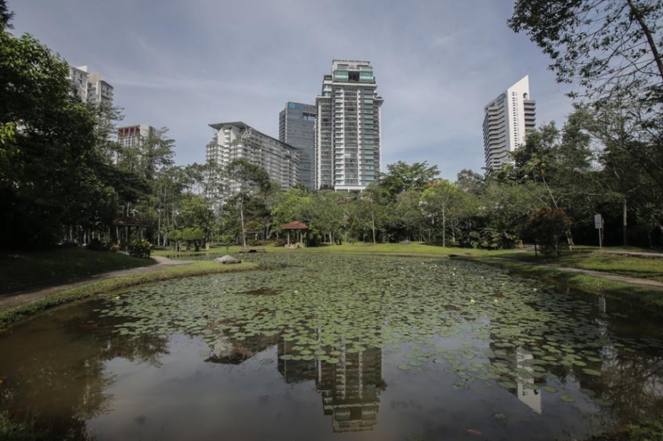 A general view of Taman Rimba Kiara. — Picture by Ahmad Zamzahuri