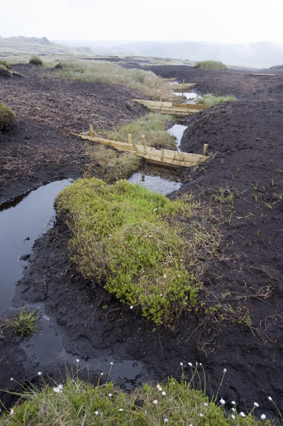 Dams in gullies in the Peak District as part of peatland restoration (Leo Mason/National Trust) (PA Media)