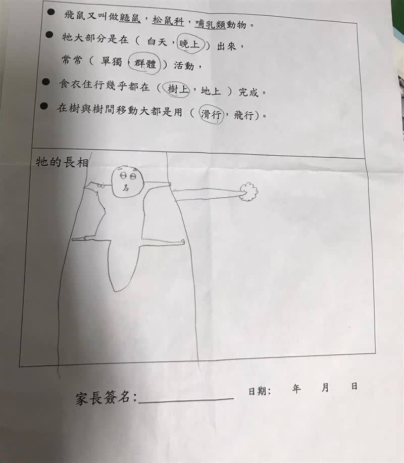 一名小學三年級學生畫的飛鼠，逗樂許多網友。（圖／翻攝自爆怨公社）