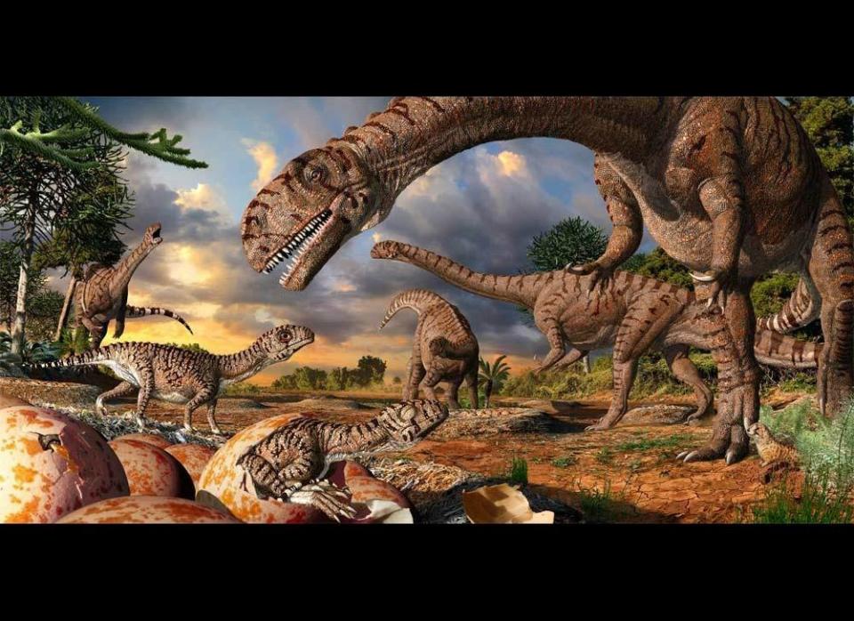 Artist's rendering of a sauropod nursery site.  Julius Csotonyi