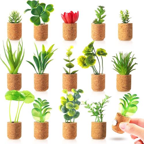 Plant Fridge Magnets