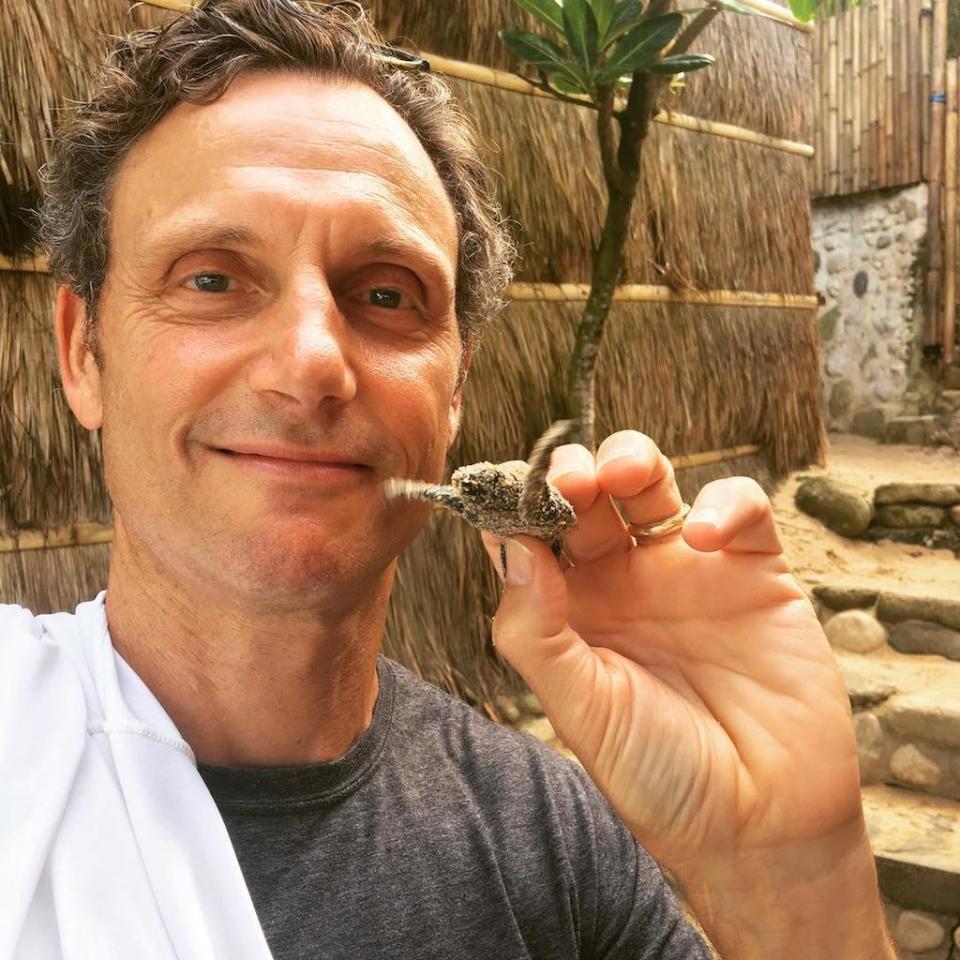 <p>The <em>Scandal</em> star shared a lot of fab photos from his trip to Bali, but he seemed the most pleased with this baby turtle. “Baby sea turtle about to hit the surf. #sumbaisland #indonesia @nihiwatu @howelltalentrelations.” (Photo: <a rel="nofollow noopener" href="https://www.instagram.com/p/BUrQ8zPg8Ad/?taken-by=tonygoldwyn" target="_blank" data-ylk="slk:Tony Goldwyn via Instagram;elm:context_link;itc:0;sec:content-canvas" class="link ">Tony Goldwyn via Instagram</a>)<br><br></p>