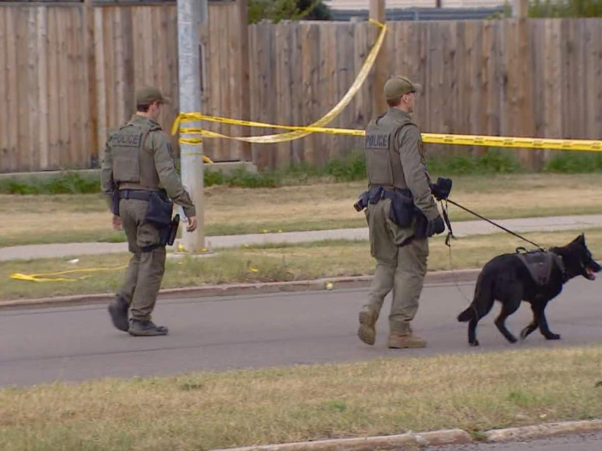 There was a heavy police presence in Edmonton's Homesteader neighbourhood Wednesday, as officers searched for a man suspected of attacking several people. (Scott Neufeld/CBC - image credit)