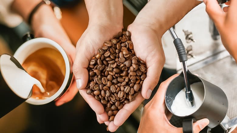 hands holding coffee beans