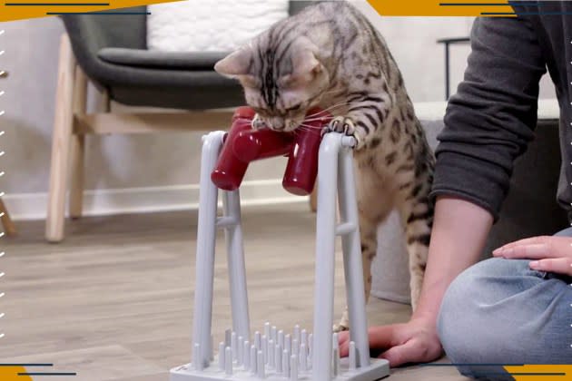 Catit Senses Treat Puzzle - Products