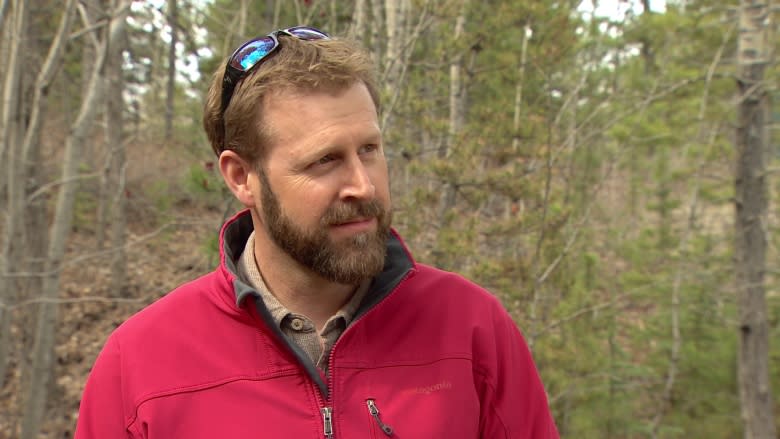 Yukon's supply of spruce beetle-killed firewood threatens to rot