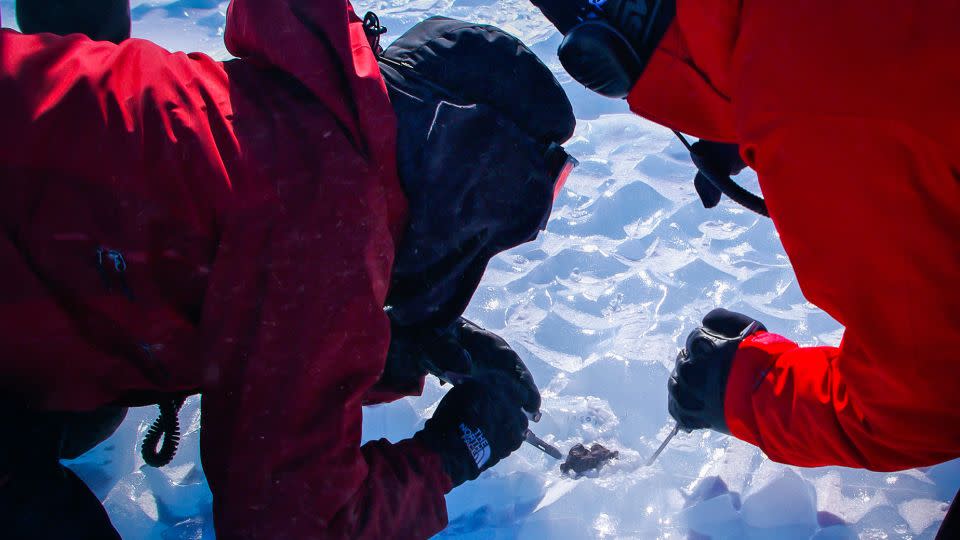 Scientists carve out a meteorite submerged under the ice during a 2009-2010 field mission to Antarctica's Balchenfjella. - Steven Goderis/Vrije Universiteit Brussel
