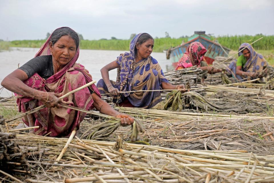 <span class="caption">Harvesting jute, as these women were doing in Bangladesh in August 2021, and other crops often means being in direct sunshine all day long.</span> <span class="attribution"><a class="link " href="https://www.gettyimages.com/detail/news-photo/women-farmers-from-the-munshiganj-village-during-the-jute-news-photo/1234844946" rel="nofollow noopener" target="_blank" data-ylk="slk:Maruf Rahman / Eyepix Group/Future Publishing via Getty Images;elm:context_link;itc:0;sec:content-canvas">Maruf Rahman / Eyepix Group/Future Publishing via Getty Images</a></span>