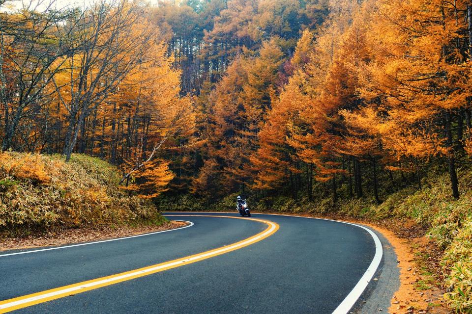 <p>A motorcyclist rounds the bend in Nikko National Park, Japan.</p>