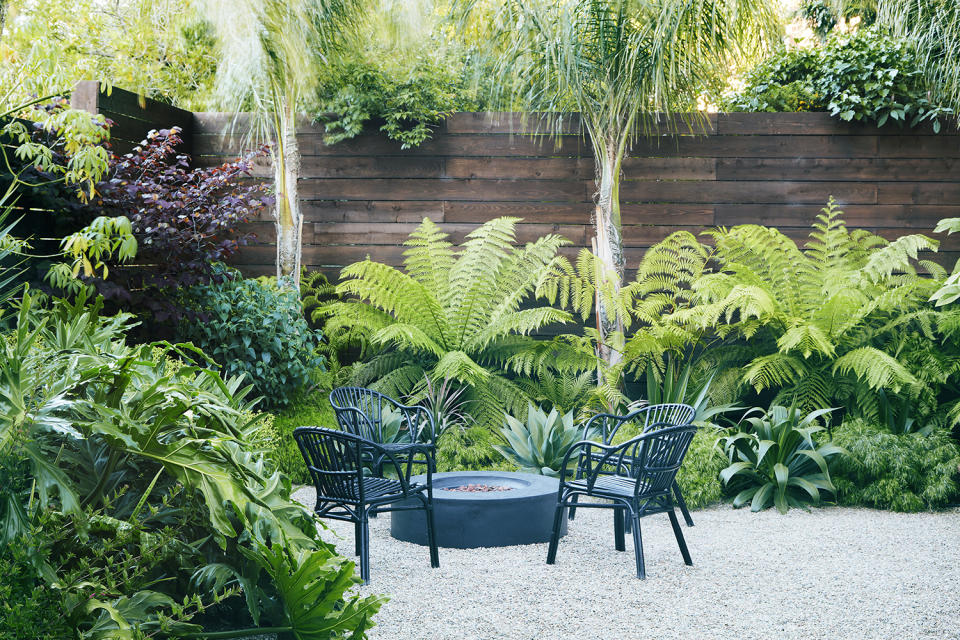 lush tropical backyard with palm trees for privacy and modern seating