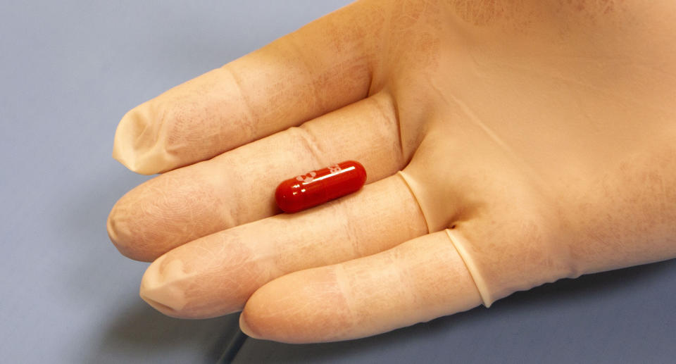 BARI, ITALY - JANUARY 11: Doctor holds in her hands the Lagevrio pill, Molnupiravir indicator for the treatment of Covid 19 on January 11, 2022 in Bari, Italy. The European Medicines Agency (EMA) announced in a press release published on January 10, that it will examine application for marketing authorization for the antiviral pill developed by Pfizer. Both Pfizer and Merck antiviral drugs have been hailed as potentially revolutionary in the fight against Covid-19, as studies show they reduce the risk of hospitalization and death in patients at increased risk of developing a severe form of the disease. (Photo by Donato Fasano/Getty Images)