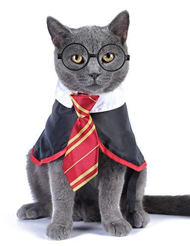 Wizard Costume for Cats