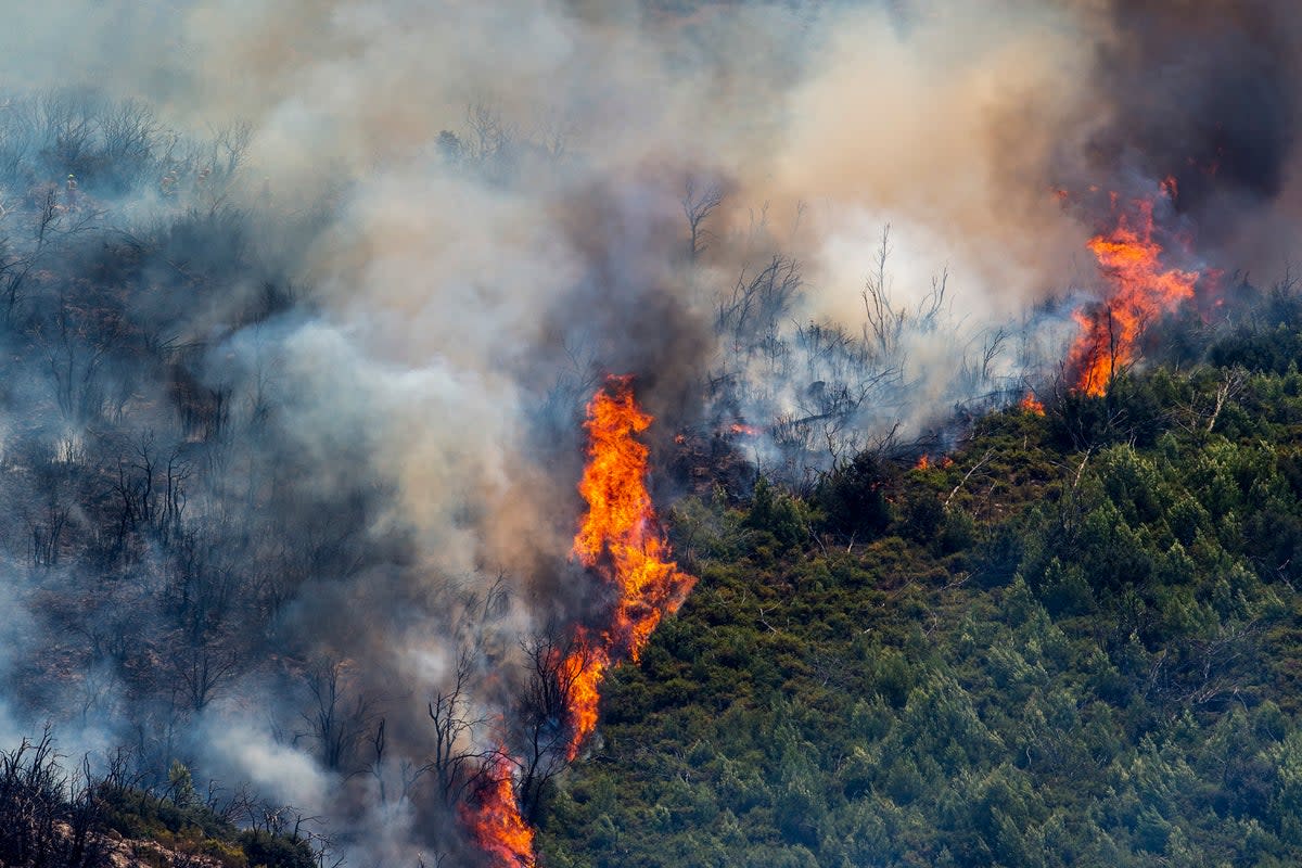 EUROPA-INCENDIOS FORESTALES (AP)