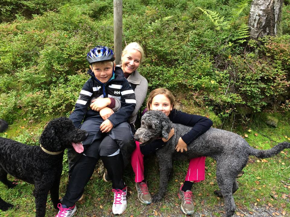 Im norwegischen Königshaus dürfte es zwischenzeitlich recht wuselig zugegangen sein. Kronprinzessin Mette-Marit und ihre Familie zogen gleich einen ganzen Wurf Welpen auf. Heute leisten ihnen die Hunde bei Ausflügen in die Natur Gesellschaft. (Bild-Copyright: Kongehuset/Facebook)