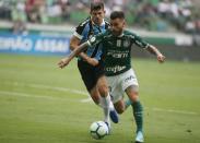 Brasileiro Championship - Palmeiras v Gremio