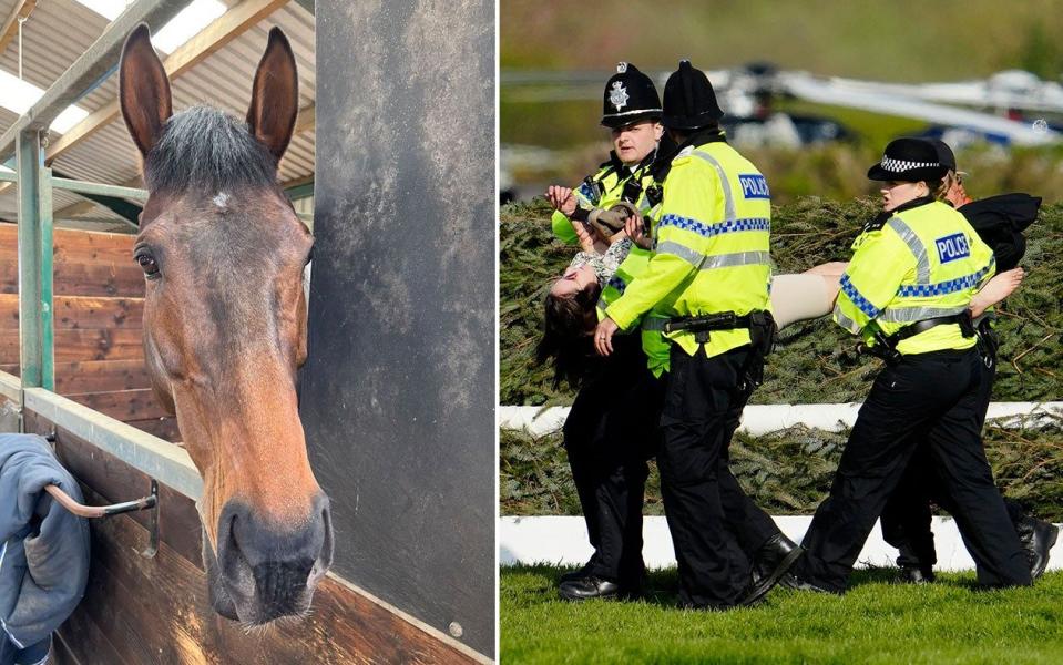 Grand National protesters blamed for death of Hill Sixteen by horse’s trainer - AP/Jon Super