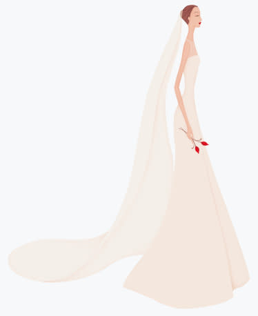 bride illustrated