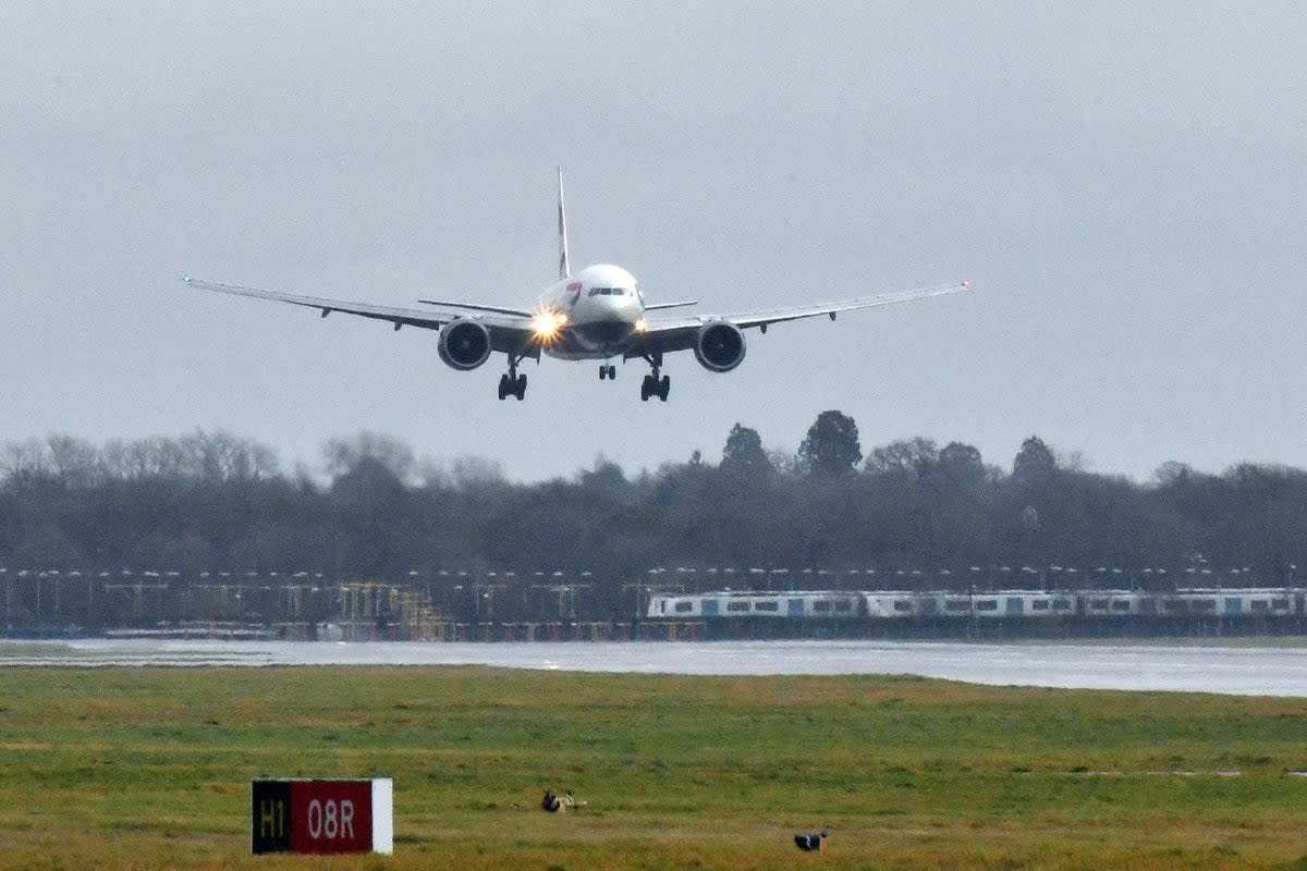 A file picture British Airways plane comes into land at Gatwick airport (PA)