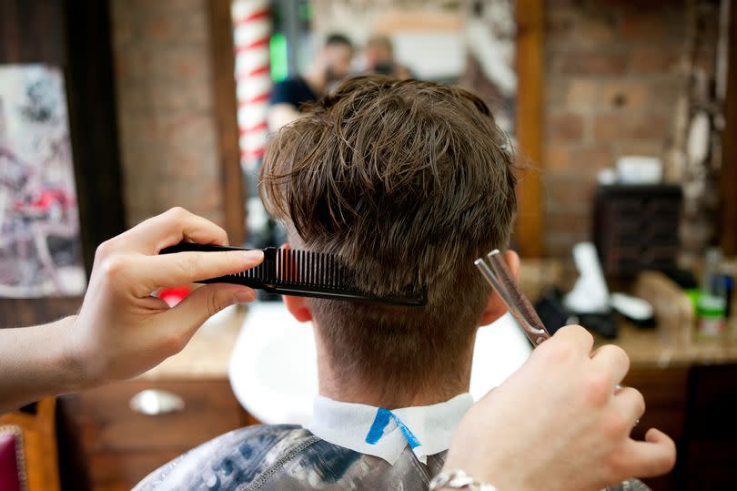 Rear view of young man in barbershop having haircut