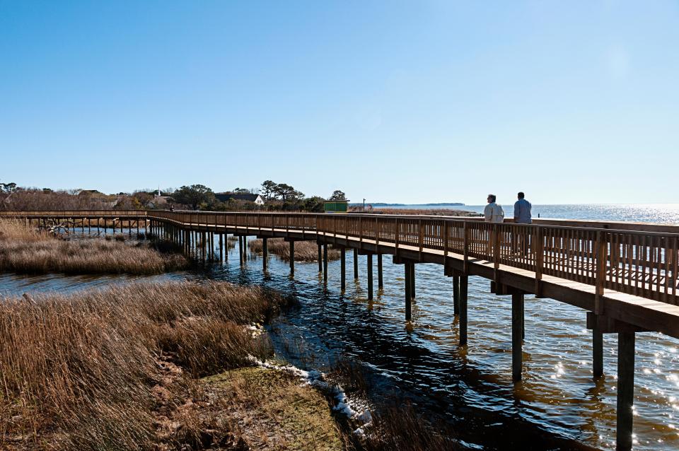 Duck Beach