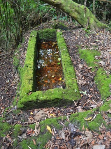 A photo released by Mulanay tourism office (MTO) shows a limestone coffin, one of many unearthed in Quezon province, southeast of Manila. The coffins are rectangular holes carved into a limestone hill, a burial method documented only in two other areas of eastern Asia