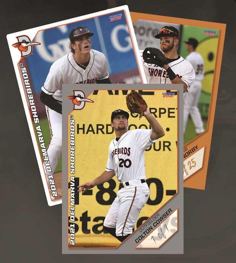 Baseball cards for the Delmarva Shorebirds roster will be available for fans