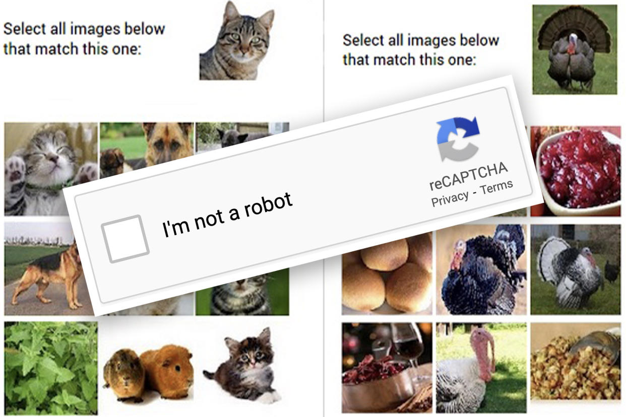 Captcha prompts