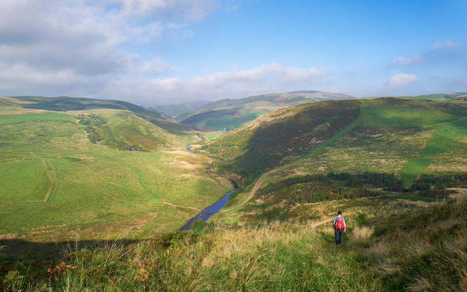 Above Coquetdale