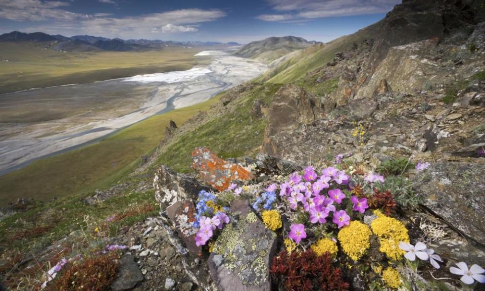 Arctic National Wildlife Refuge Brooks Range.