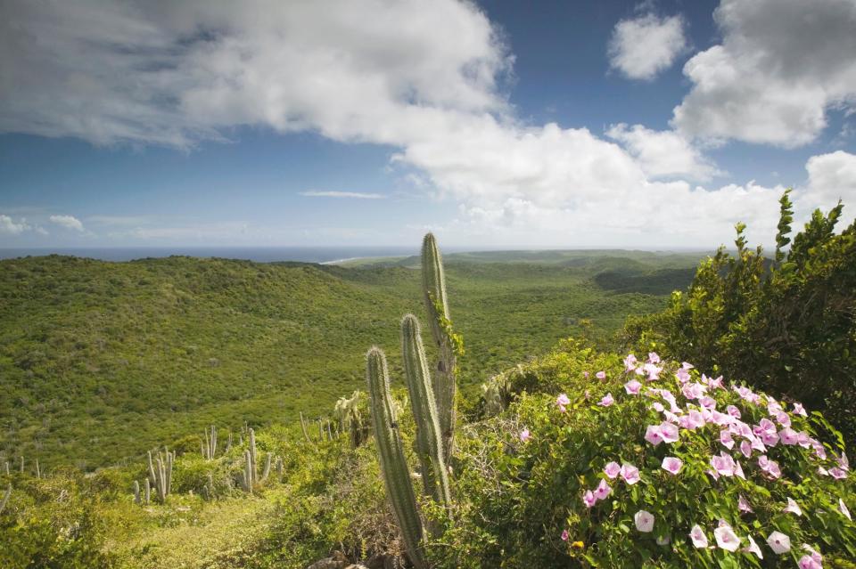 Christoffel National Park