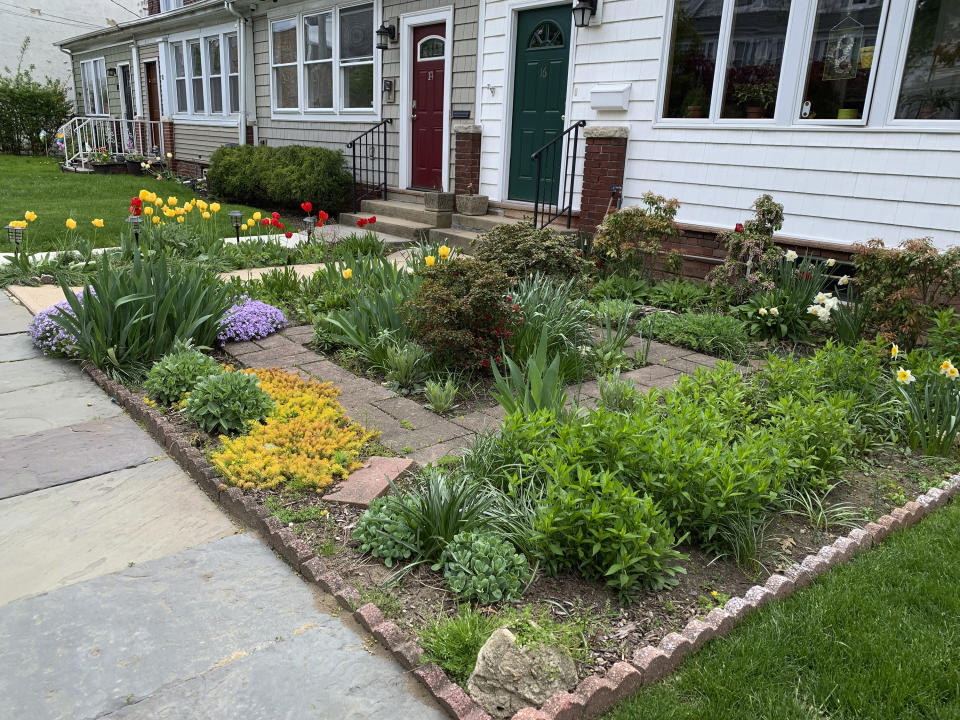 A rowhouse in New Rochelle, N.Y., has a front yard full of flowers and other plants, while neighboring houses have lawns of grass. Many people are converting parts of their lawns into planting beds for a variety of flowers, perennials and edible plants. (AP Photo/Julia Rubin)
