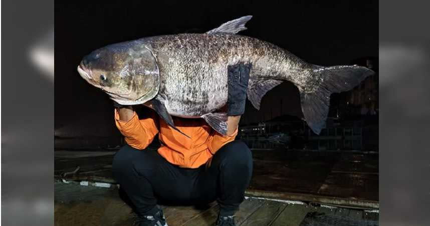 男釣客在日月潭夜釣，釣到一尾25.2公斤的大頭鰱。（圖／翻攝自日月潭一等高）