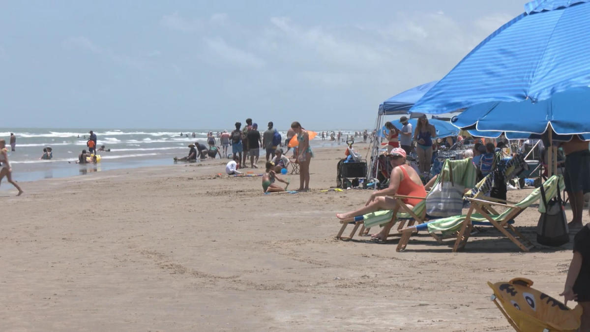 Four injured in July 4 shark attacks in Texas and Florida