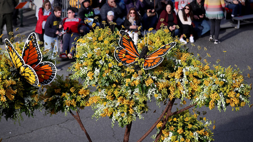 How to Watch the Rose Parade Live For Free to See 2024’s New Year’s Day