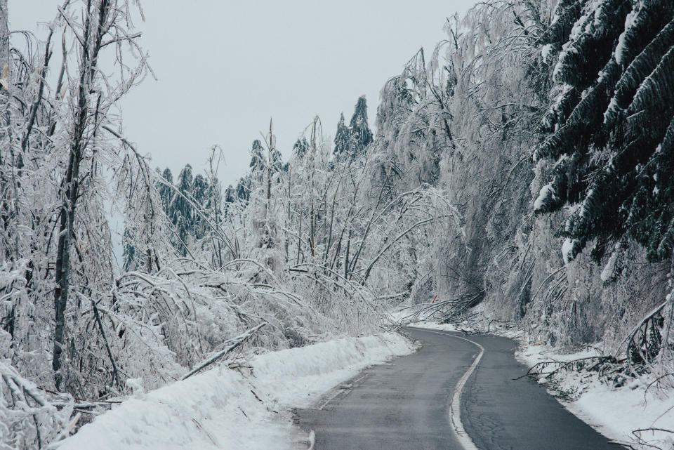 A road going through a snow-covered forest