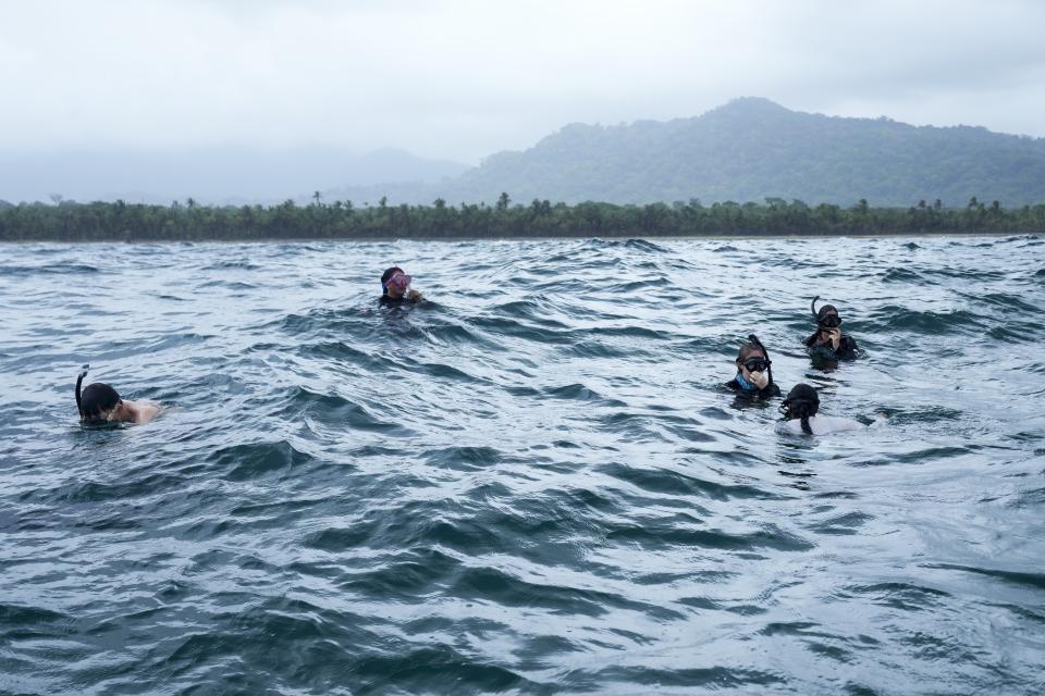 Members and volunteers of The Leatherback Project for the conservation of leatherback turtles snorkel to search turtles near a beach in Armila, Panama, Friday, May 19, 2023. Sea turtles in Panama now have the legal right to live in an environment free of pollution and other detrimental impacts caused by humans, a change that represents a different way of thinking about how to protect wildlife. (AP Photo/Arnulfo Franco)