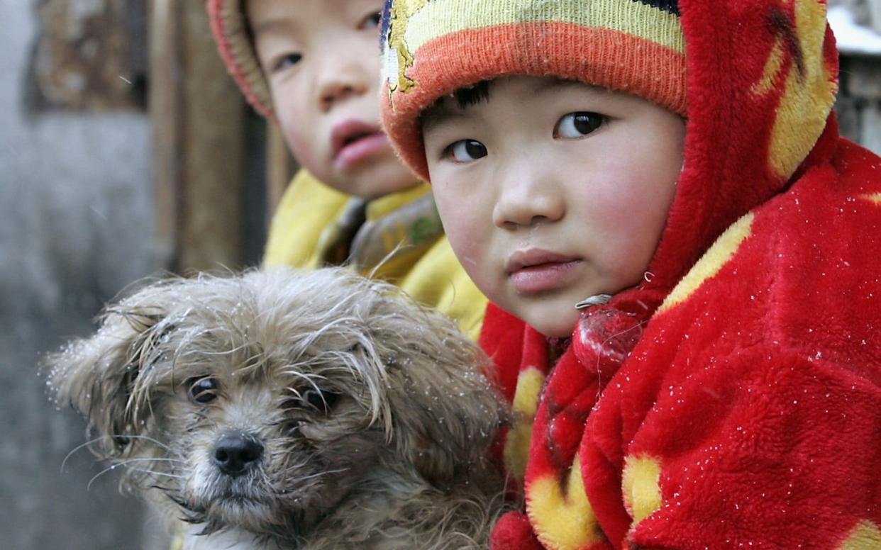 Two Chinese migrant children sit with their pet dog outside their shanty home in Beijing - AFP