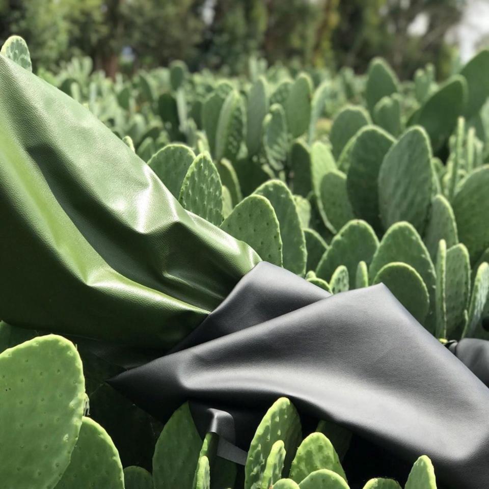 <p><strong>WINNER</strong>: The Material Award goes to <strong>Desserto </strong>for its eco-friendly <a href="https://desserto.com.mx/home" rel="nofollow noopener" target="_blank" data-ylk="slk:cactus leather;elm:context_link;itc:0;sec:content-canvas" class="link ">cactus leather</a>.</p>