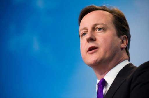 British Prime Minister David Cameron, seen here in 2010, said Tuesday he would block a new European Union treaty proposed by France and Germany aimed at saving the euro, if London's demands are not met