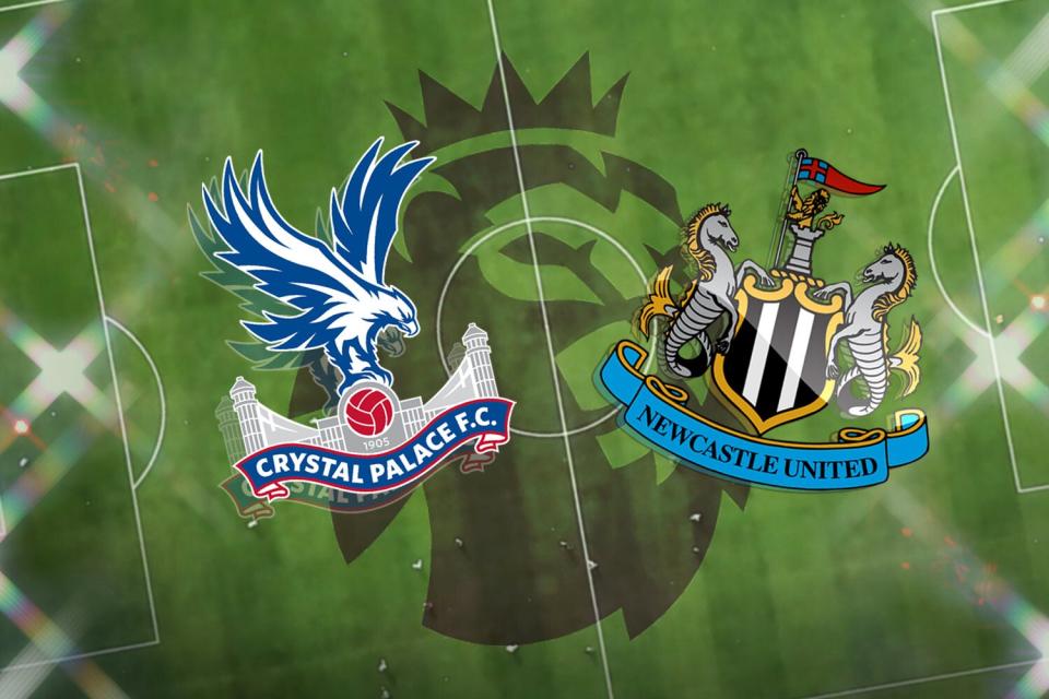 <p>Crystal Palace beat Newcastle at Selhurst Park back in February</p> (ES Composite)