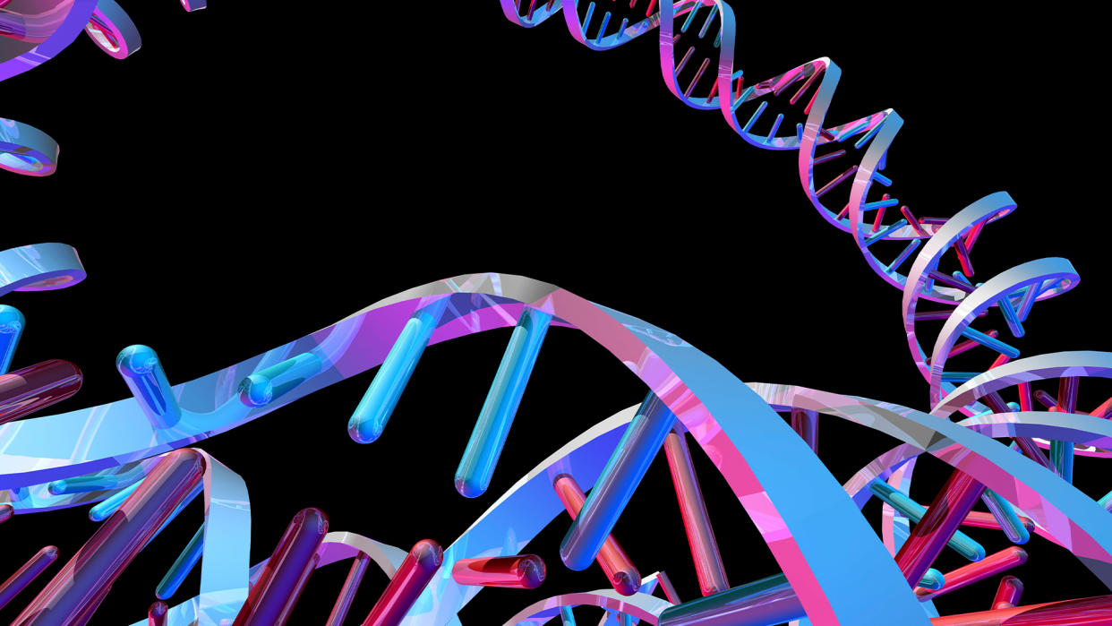  A digital illustration of a circular DNA molecule, as found inside mitochondria. 